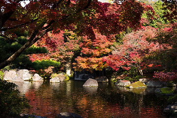 Image showing Japanese garden at autumn season