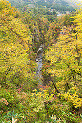 Image showing Rocky cliffs in Miyagi