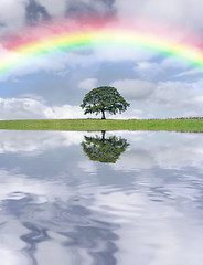 Image showing Rainbow Day