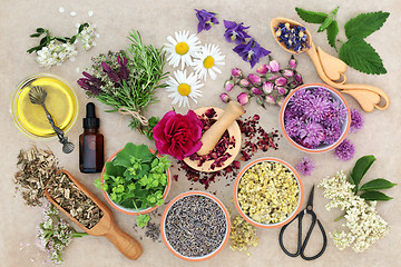 Image showing Natural Herbal Medicine  