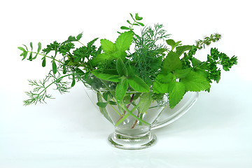 Image showing Green ingredients