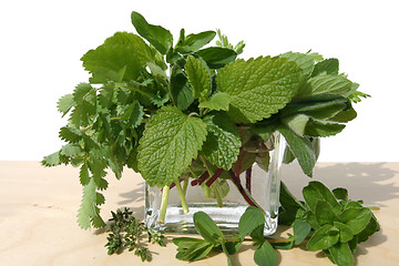 Image showing Herbs