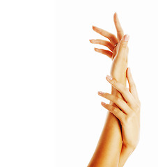 Image showing beauty delicate hands with manicure holding flower lily close up