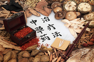 Image showing Chinese Herbal Therapy