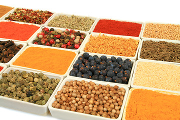 Image showing Spices