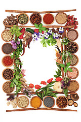Image showing Herb and Spice Abstract Border