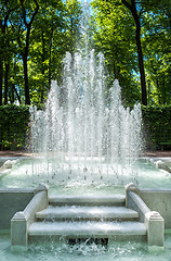 Image showing Fountain pyramid in summer garden. Saint Petersburg