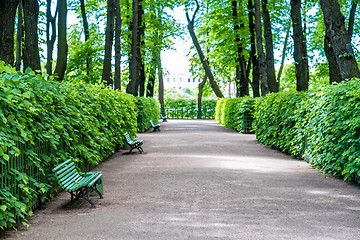 Image showing Alley in Park Summer Garden, St.Petersburg