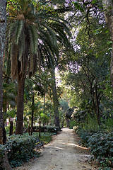 Image showing Maria Luisa Park, Seville, Spain