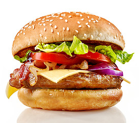 Image showing Fresh tasty burger