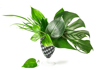 Image showing bouquet of tropical leaves