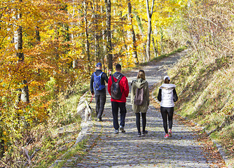 Image showing Two Young couples with a dog, walking in a park in autumn forest