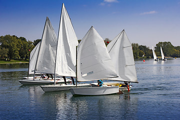 Image showing Sports sailing in Lots of Small white boats on the lake 