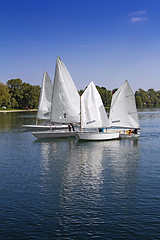Image showing Sports sailing in Lots of Small white boats on the lake 