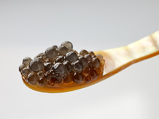 Image showing  Mother of pearl caviar spoon