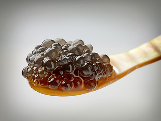 Image showing  Mother of pearl caviar spoon