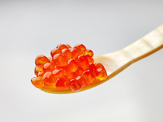 Image showing  Mother of pearl caviar spoon