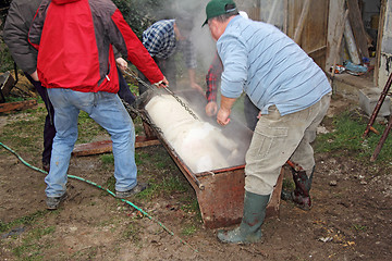 Image showing Traditional home made pig slaughtering in rural