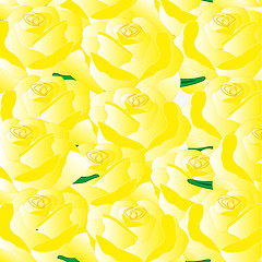 Image showing Background from roses yellow