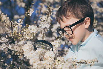 Image showing Happy little boy exploring nature with magnifying glass at the d