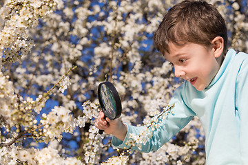 Image showing Happy little boy exploring nature with magnifying glass at the d