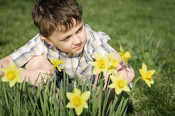 Image showing One little boy sitting in the grass at the day time. 