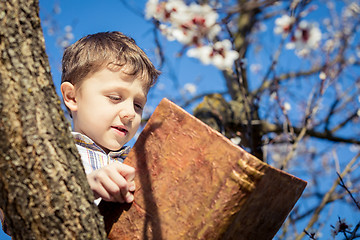 Image showing One little boy reading a book on a blossom tree.