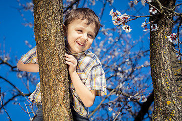 Image showing One little boy sitting on a blossom tree.