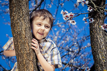 Image showing One little boy sitting on a blossom tree.