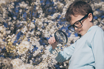 Image showing Happy little boy exploring nature with magnifying glass at the d