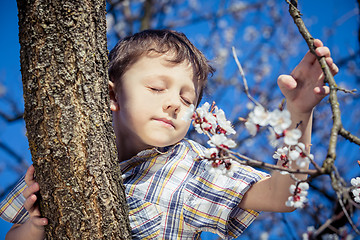 Image showing One little boy sitting on a blossom tree.