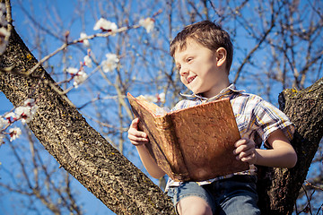 Image showing One little boy reading a book on a blossom tree.