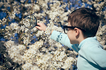 Image showing Happy little boy exploring nature with magnifying glass at the d