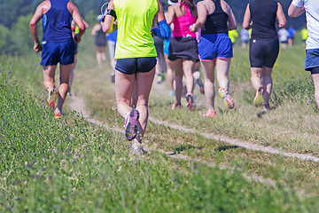 Image showing Group of young athlete running marathon outdoors