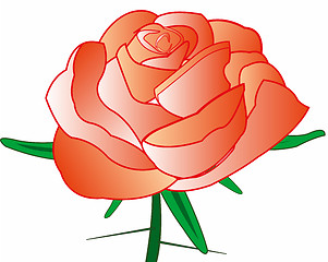 Image showing Rose with thorn