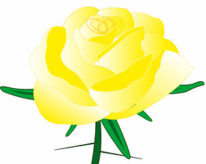 Image showing Rose yellow with thorn