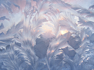 Image showing Beautiful winter pattern