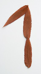Image showing 1 one number: alphabet and numbers with autumn brown red dry leaf on white background