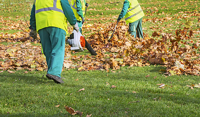 Image showing Workers cleaning fallen autumn leaves with a leaf blower 