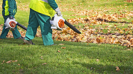 Image showing Workers cleaning fallen autumn leaves with a leaf blower 