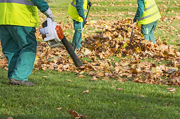 Image showing Workers cleaning fallen autumn leaves with a leaf blower 