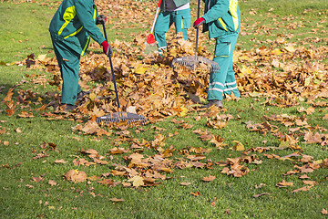Image showing Workers cleaning fallen autumn leaves