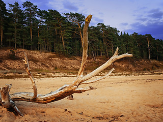 Image showing evening on the beach 