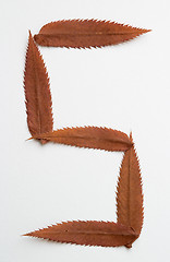 Image showing 5 five number: alphabet and numbers with autumn brown red dry leaf on white background