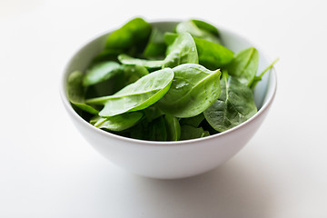 Image showing close up of spinach leaves in white bowl