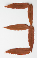 Image showing 3 three one number: alphabet and numbers with autumn brown red dry leaf on white background