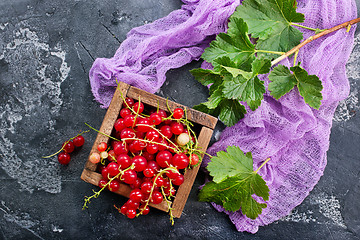 Image showing red currant