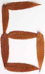 Image showing 6 9 six or nine number: alphabet and numbers with autumn brown red dry leaf on white background