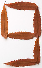 Image showing 6 9 six or nine number: alphabet and numbers with autumn brown red dry leaf on white background