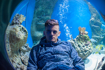 Image showing in the oceanarium